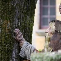 Narkoz le grand sage