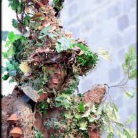 Un arbre sur échasses