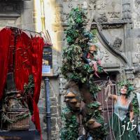 L'arbre géant et la marionnette